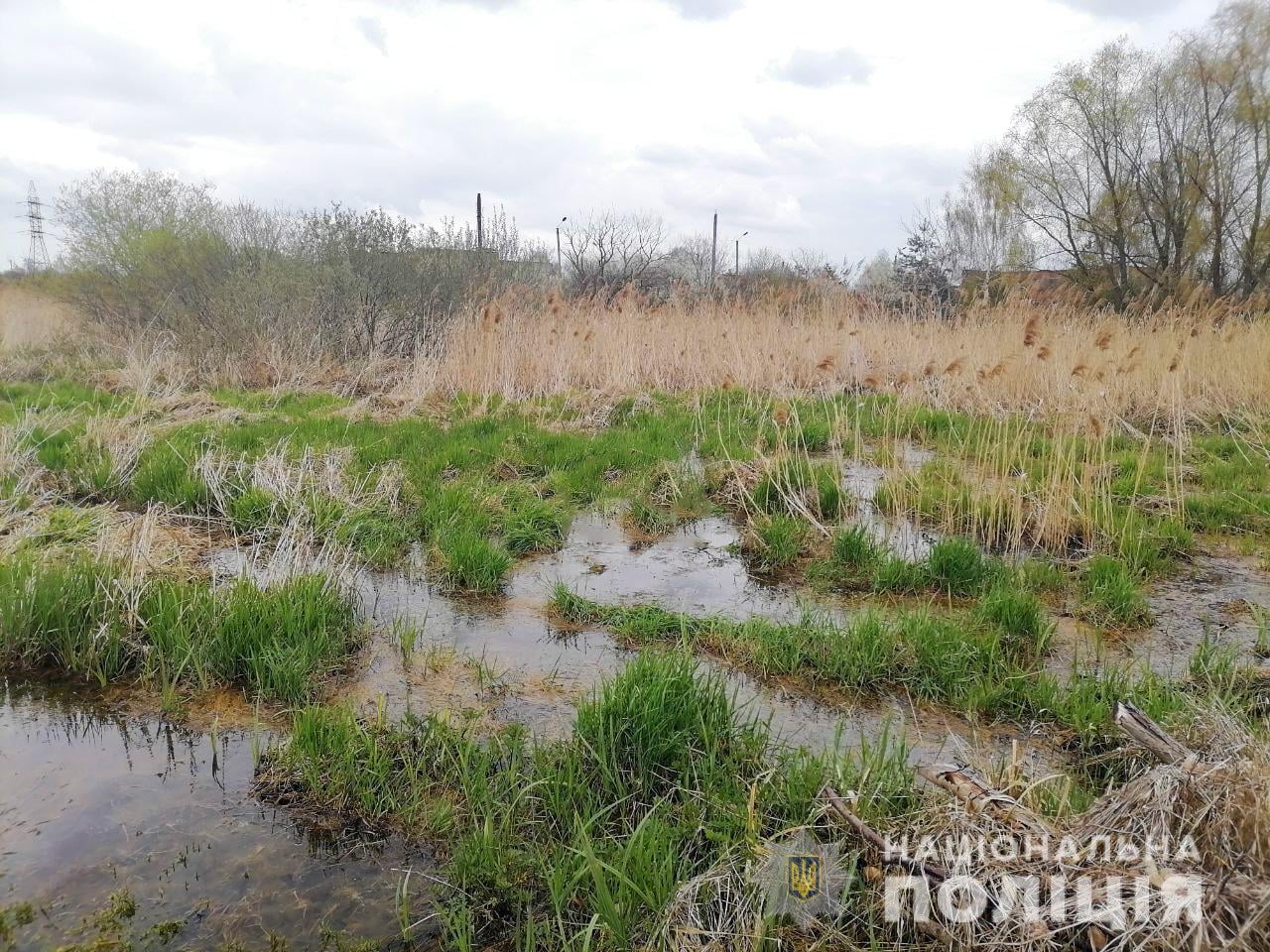 Фото ілюстративне
