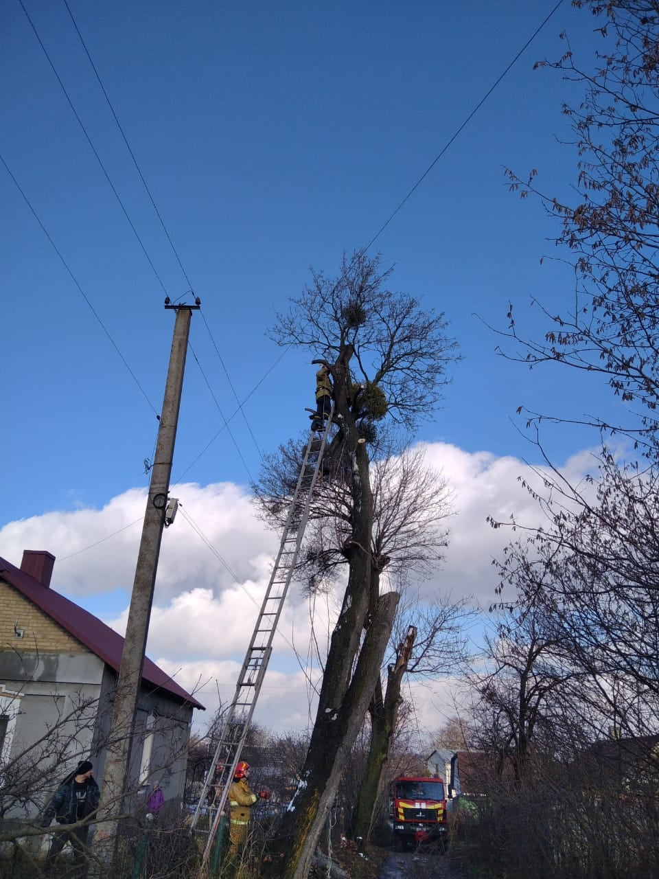 Фото ілюстративне