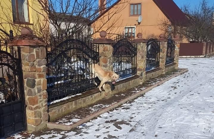 Фото ілюстративне