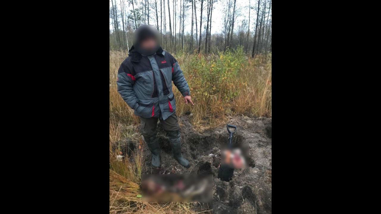 Фото ілюстративне