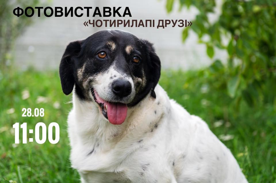 Фото ілюстративне