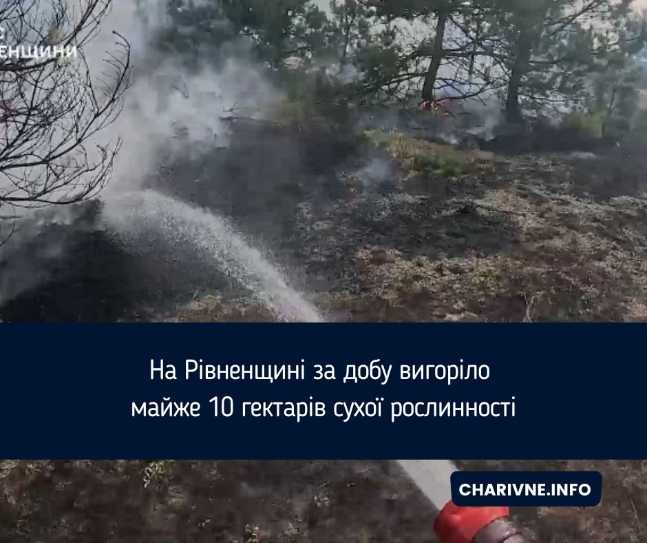 На Рівненщині за добу вигоріло майже 10 гектарів сухої рослинності