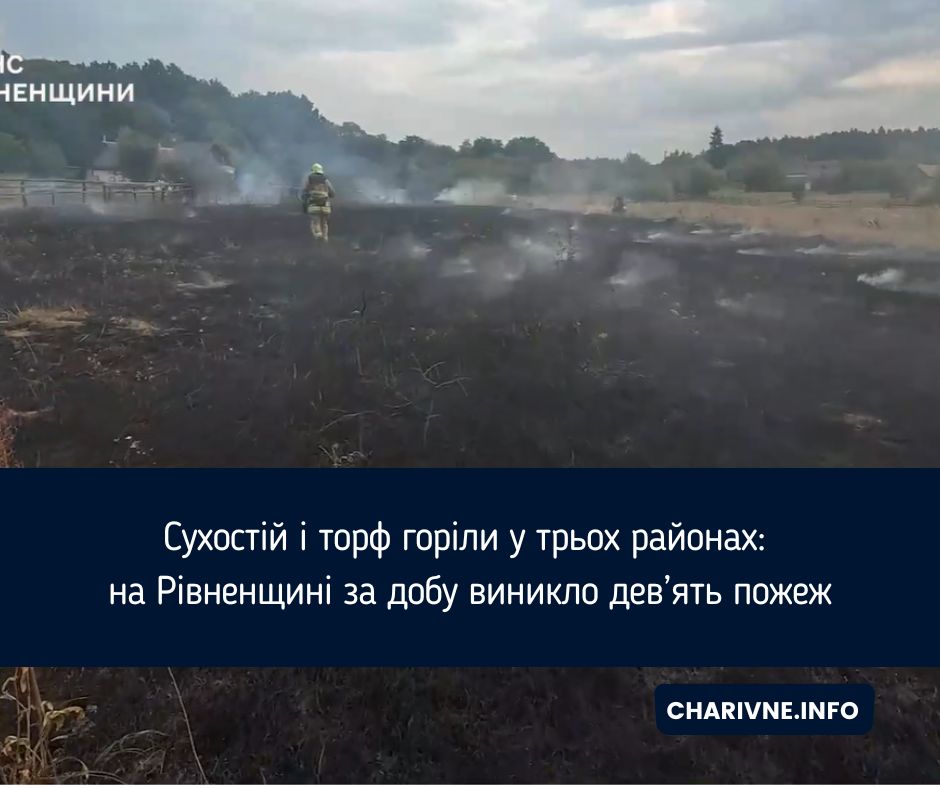 Сухостій і торф горіли у трьох районах: на Рівненщині за добу виникло дев’ять пожеж