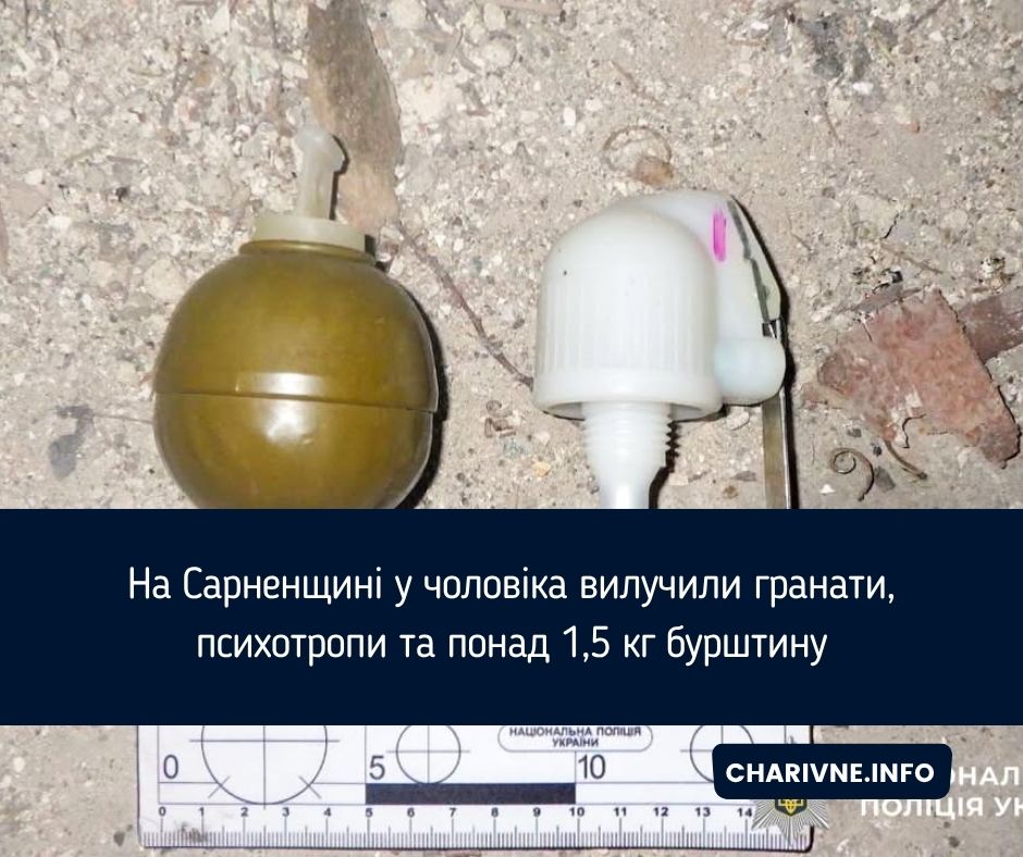 На Сарненщині у чоловіка вилучили гранати, психотропи та понад 1,5 кг бурштину