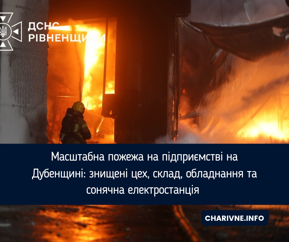 Масштабна пожежа на підприємстві на Дубенщині: знищені цех, склад, обладнання та сонячна електростанція 