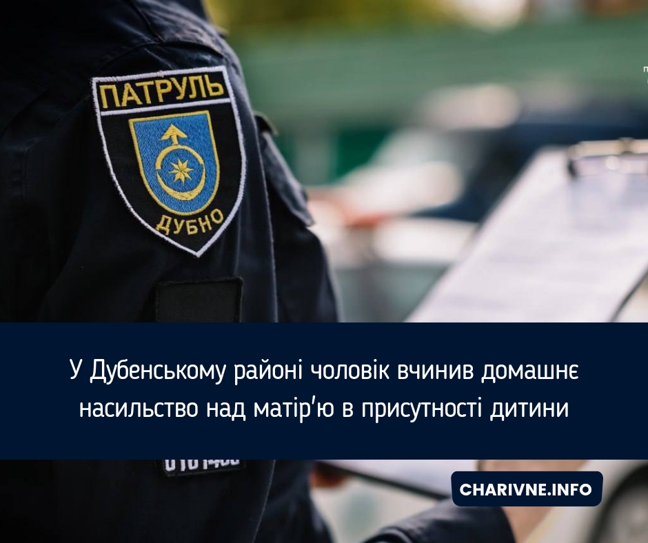 У Дубенському районі чоловік вчинив домашнє насильство над матір'ю в присутності дитини