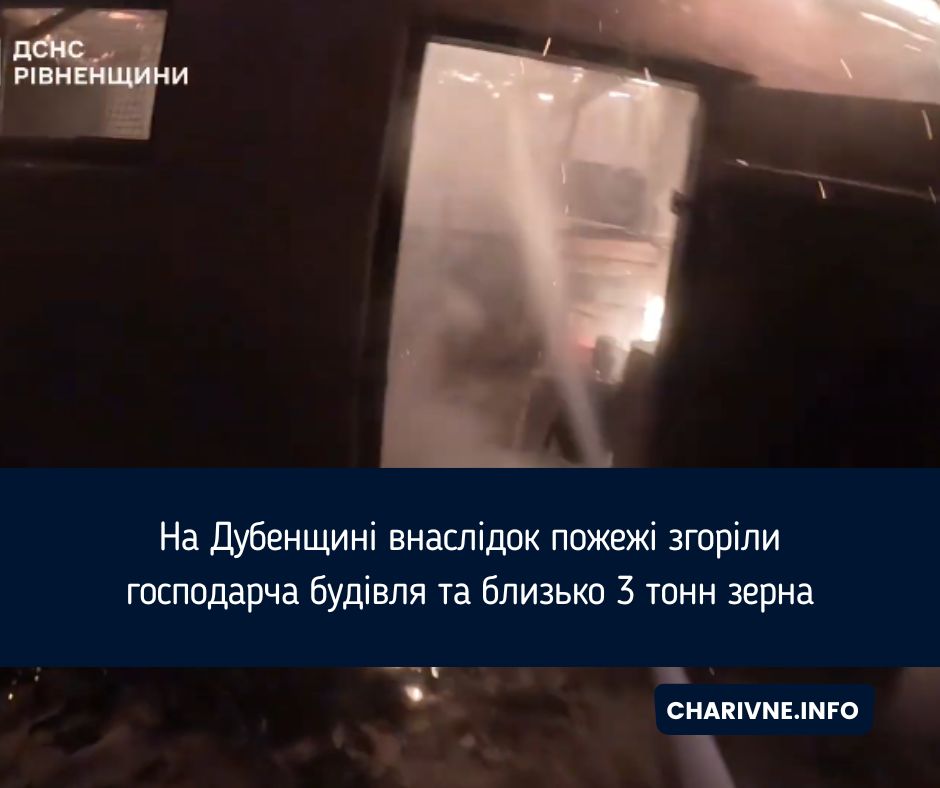 На Дубенщині внаслідок пожежі згоріли господарча будівля та близько 3 тонн зерна