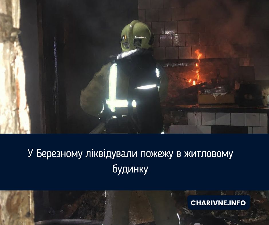 У Березному ліквідували пожежу в житловому будинку