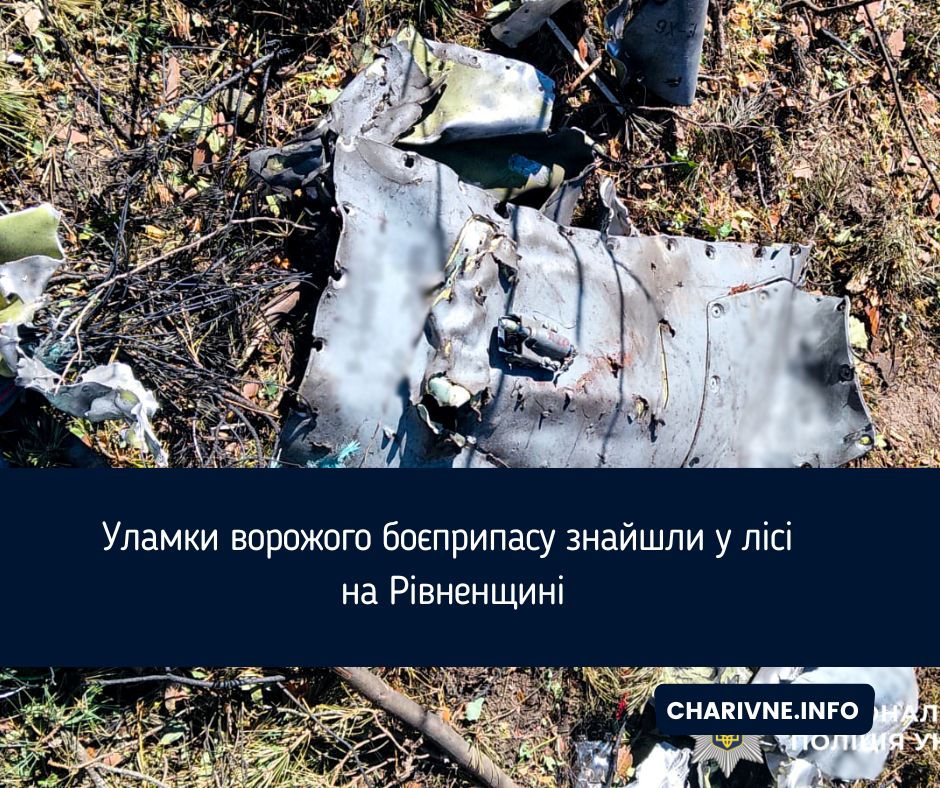 Уламки ворожого боєприпасу знайшли у лісі на Рівненщині
