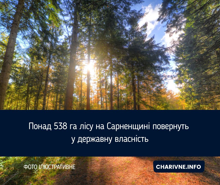 Понад 538 га лісу на Сарненщині повернуть у державну власність