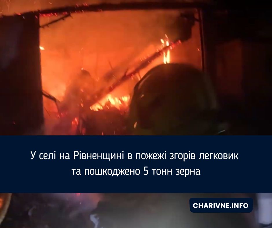 У селі на Рівненщині в пожежі згорів легковик та пошкоджено 5 тонн зерна
