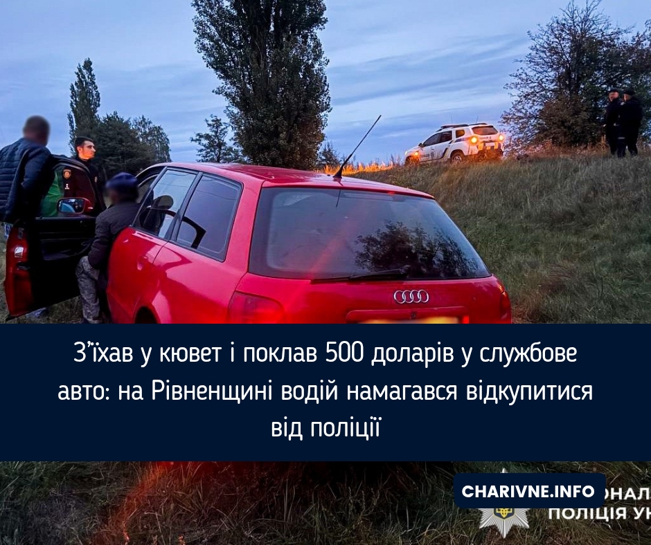 З’їхав у кювет і поклав 500 доларів у службове авто: на Рівненщині водій намагався відкупитися від поліції