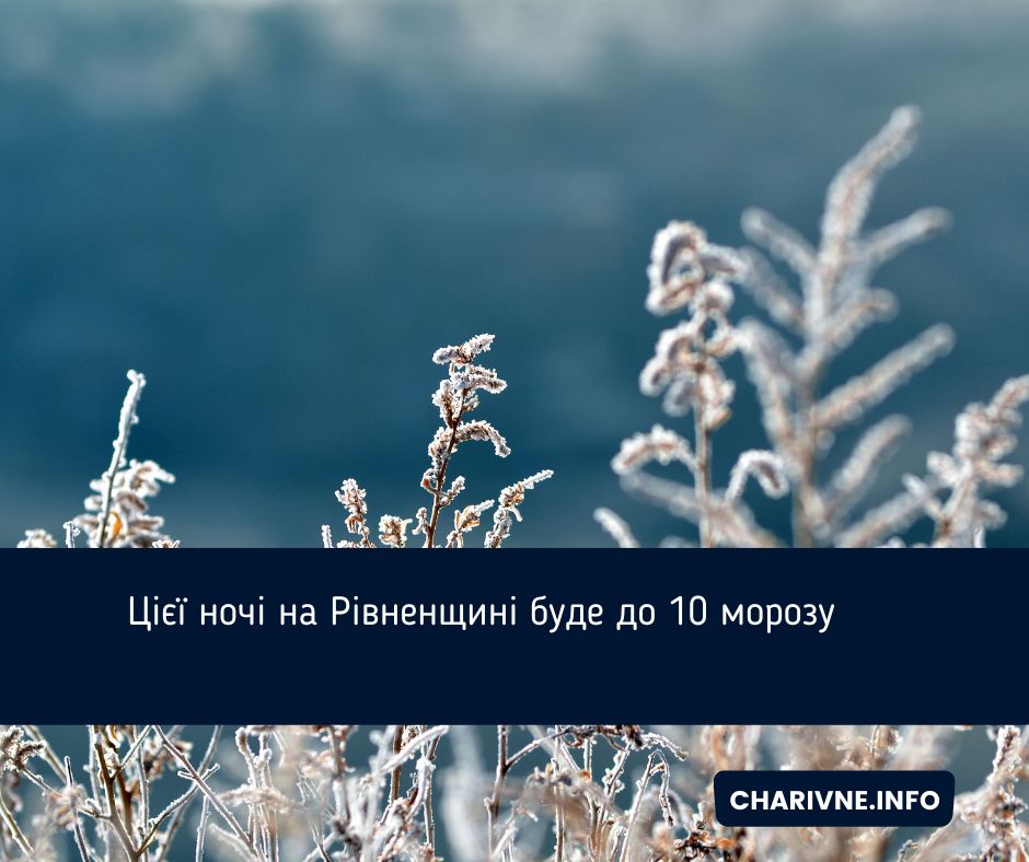 Фото ілюстративне