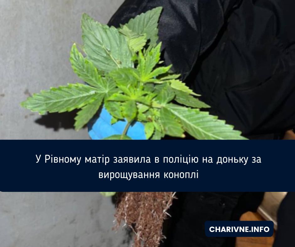 Фото ілюстративне
