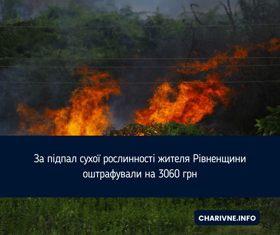 Фото ілюстративне