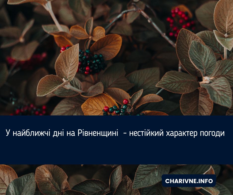 Фото ілюстративне