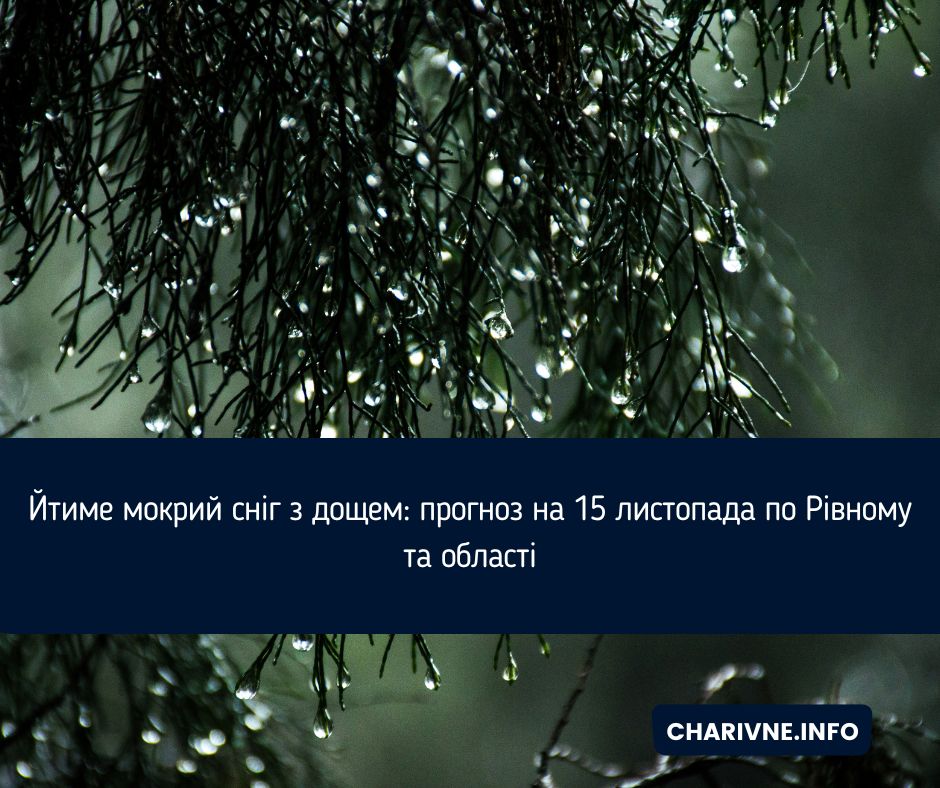 Фото ілюстративне