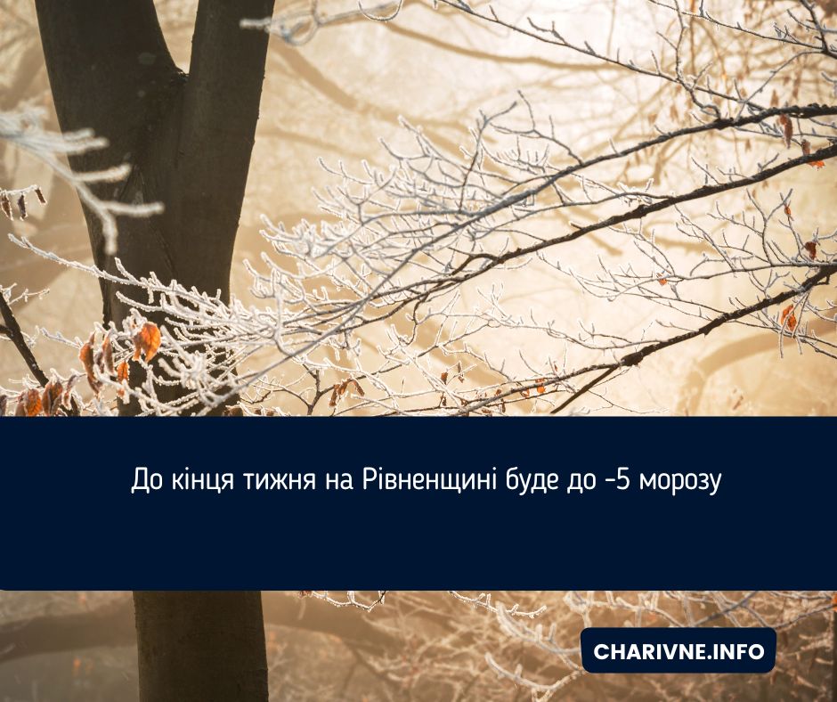 Фото ілюстративне