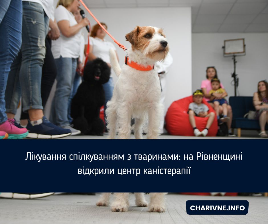 Фото ілюстративне