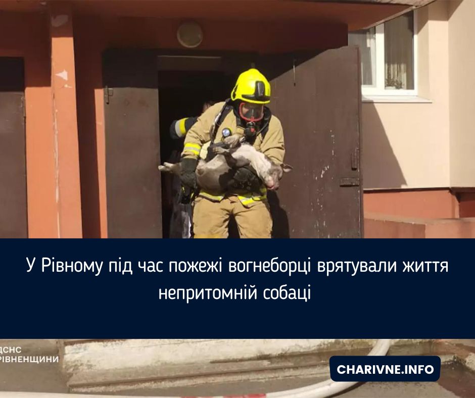 Фото ілюстративне