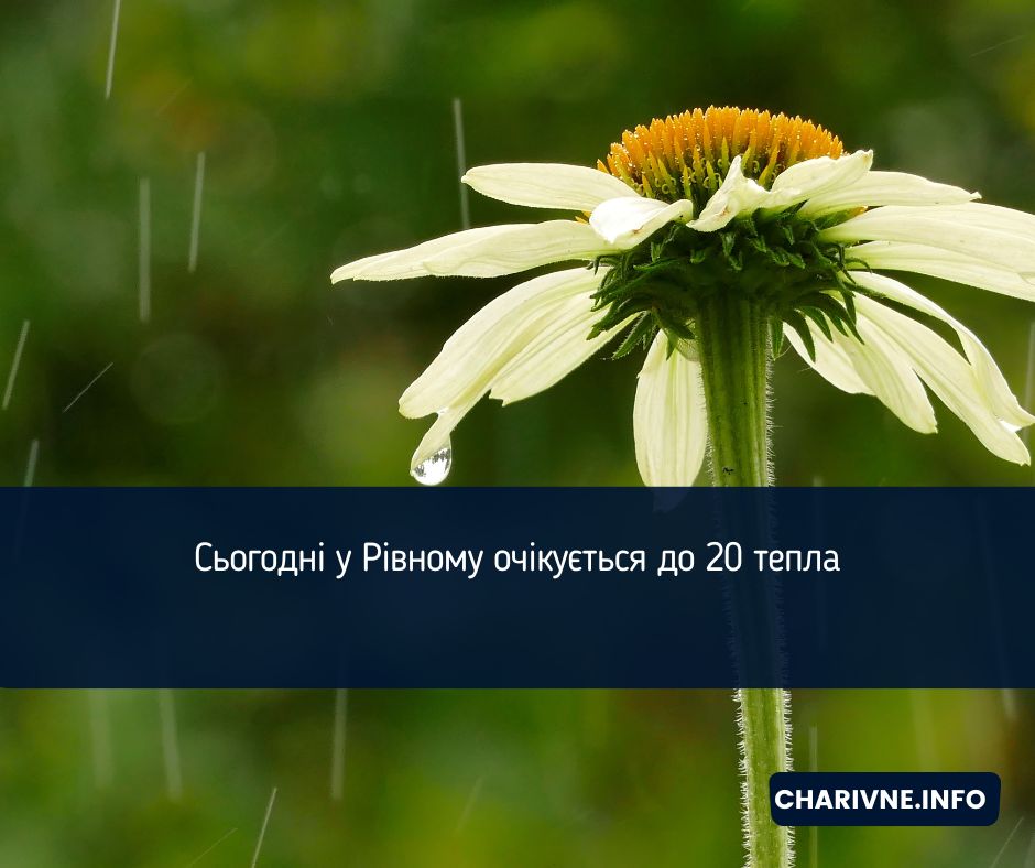 Фото ілюстративне