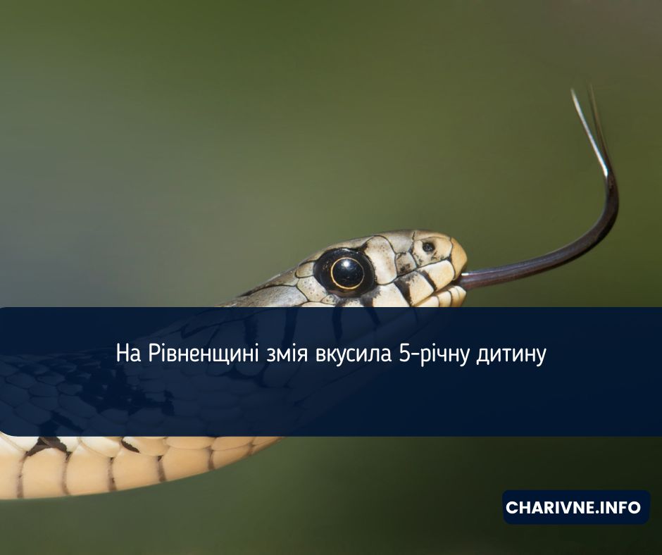 Фото ілюстративне