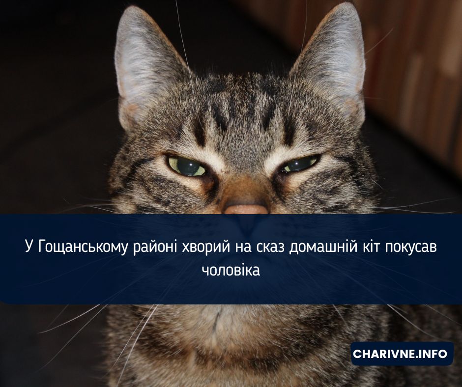 Фото ілюстративне