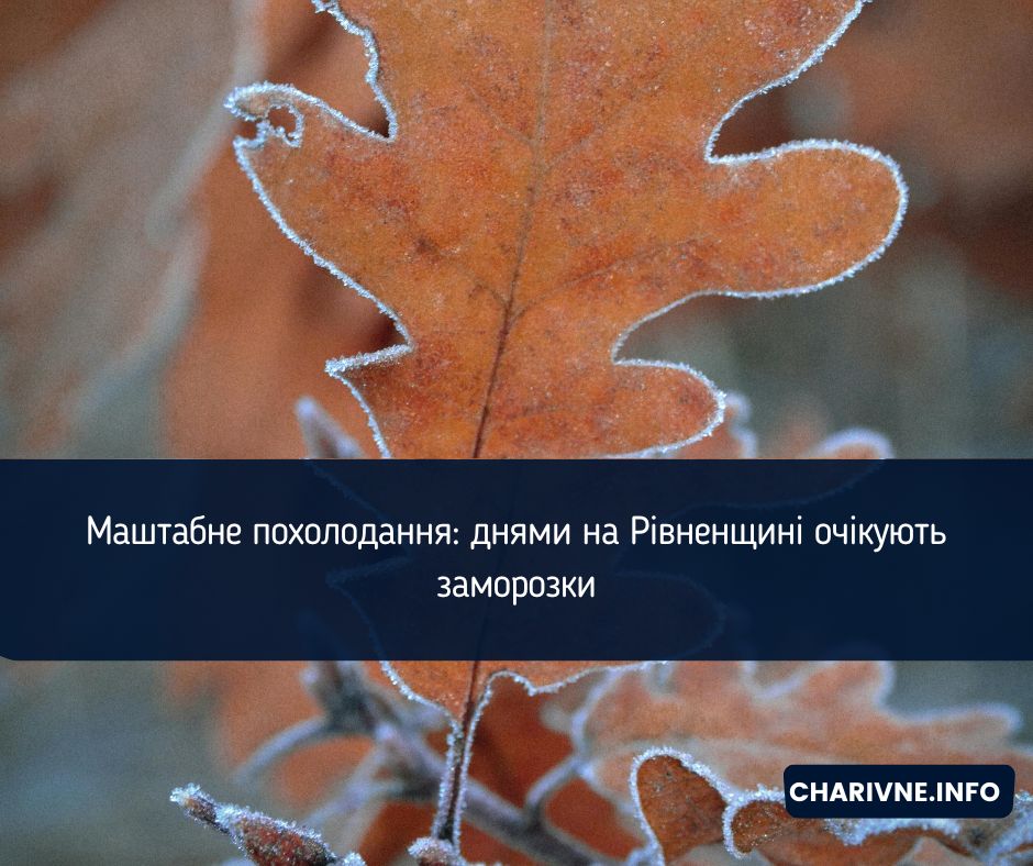 Фото ілюстративне