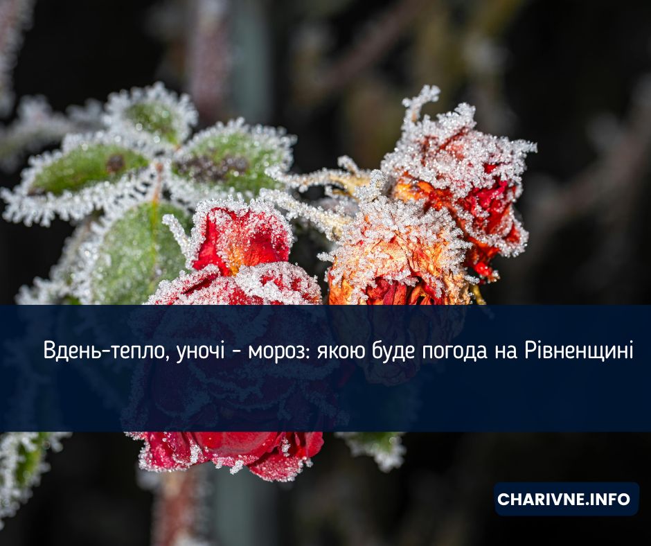 Фото ілюстративне