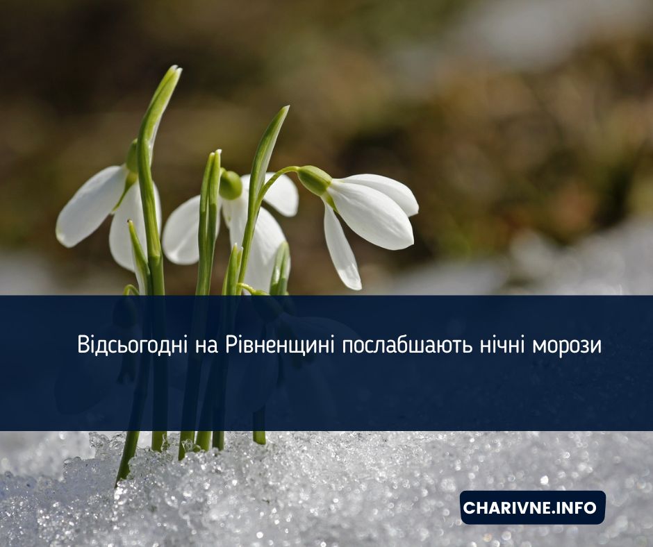 Фото ілюстративне