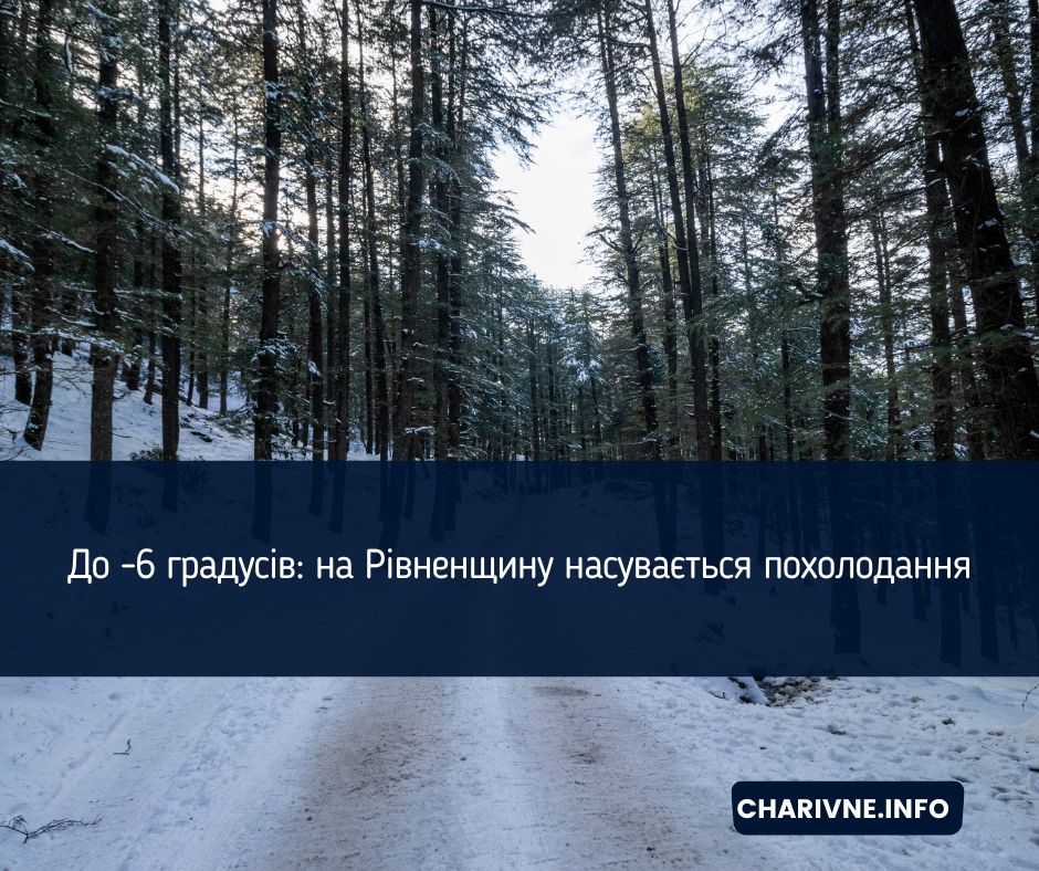 Фото ілюстративне
