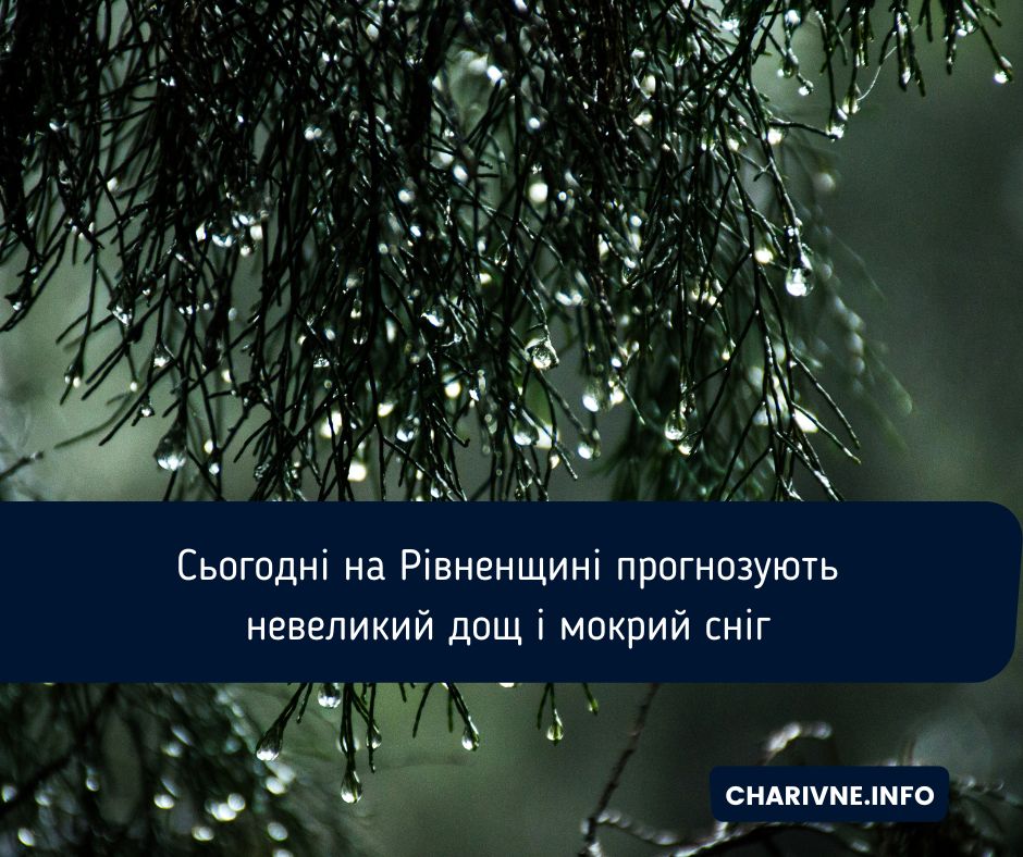 Фото ілюстративне