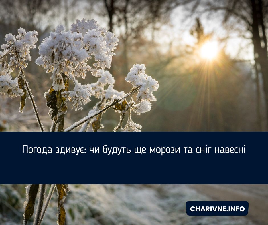 Фото ілюстративне