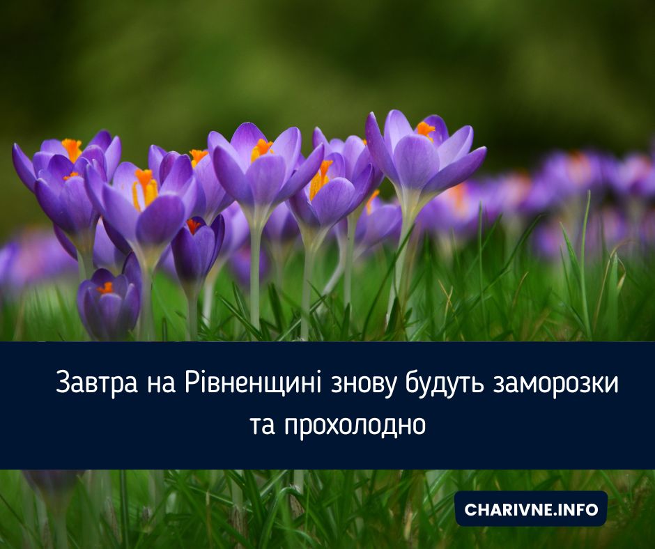 Фото ілюстративне