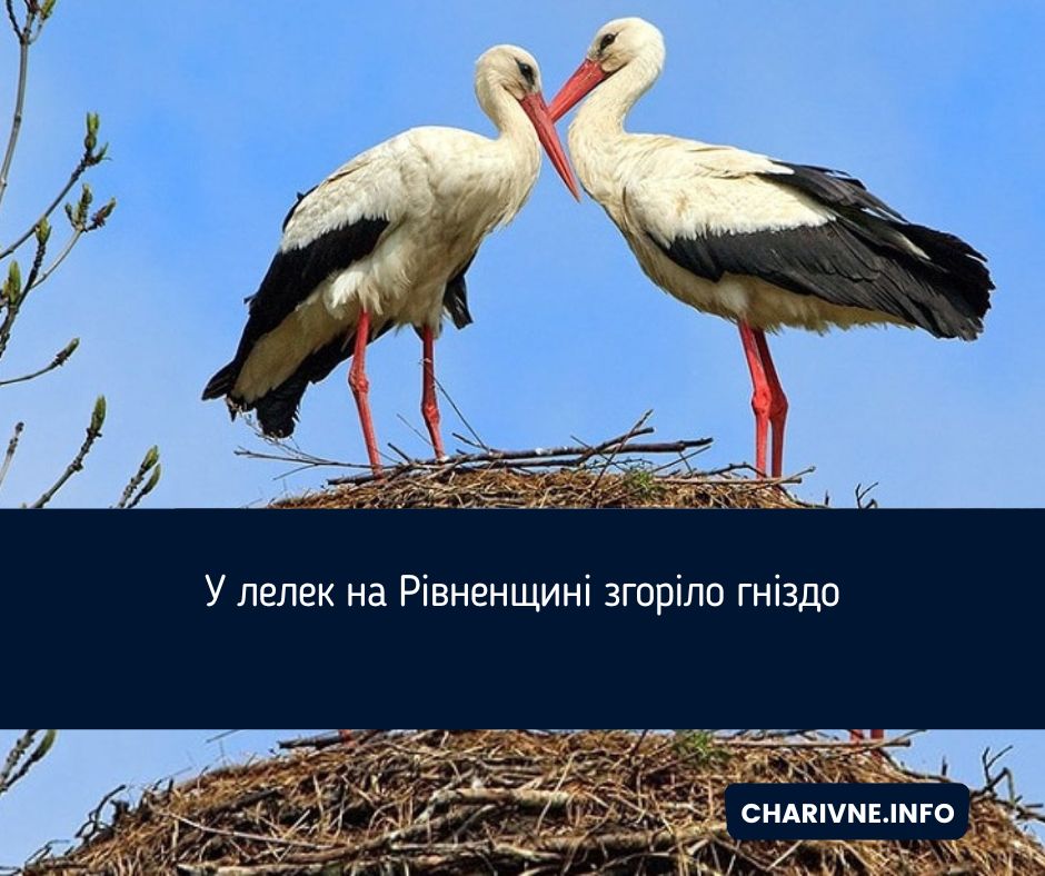 Фото ілюстративне