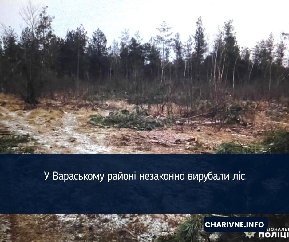 Фото ілюстративне