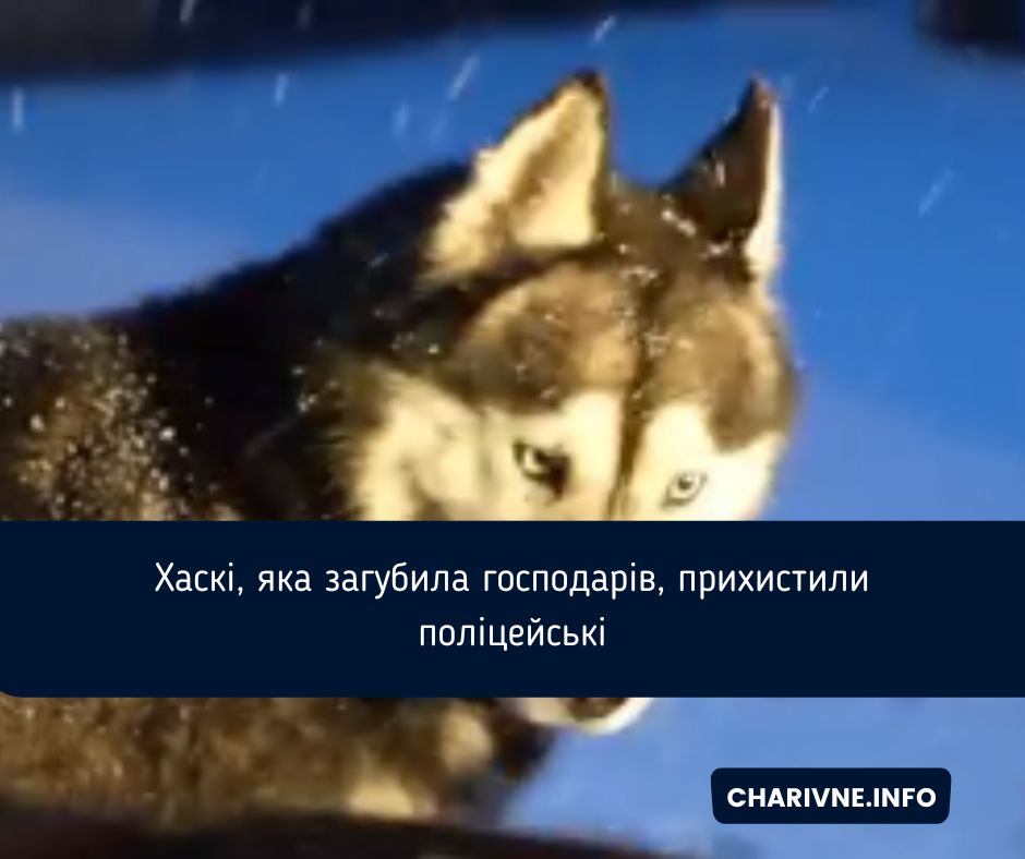 Фото ілюстративне
