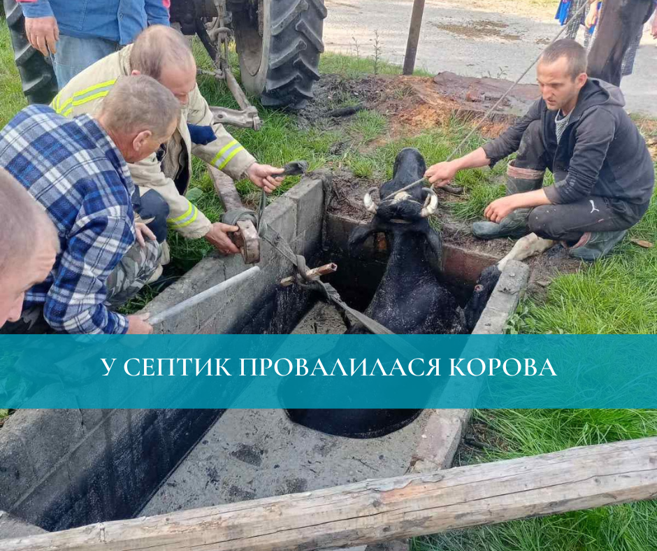 Фото ілюстративне