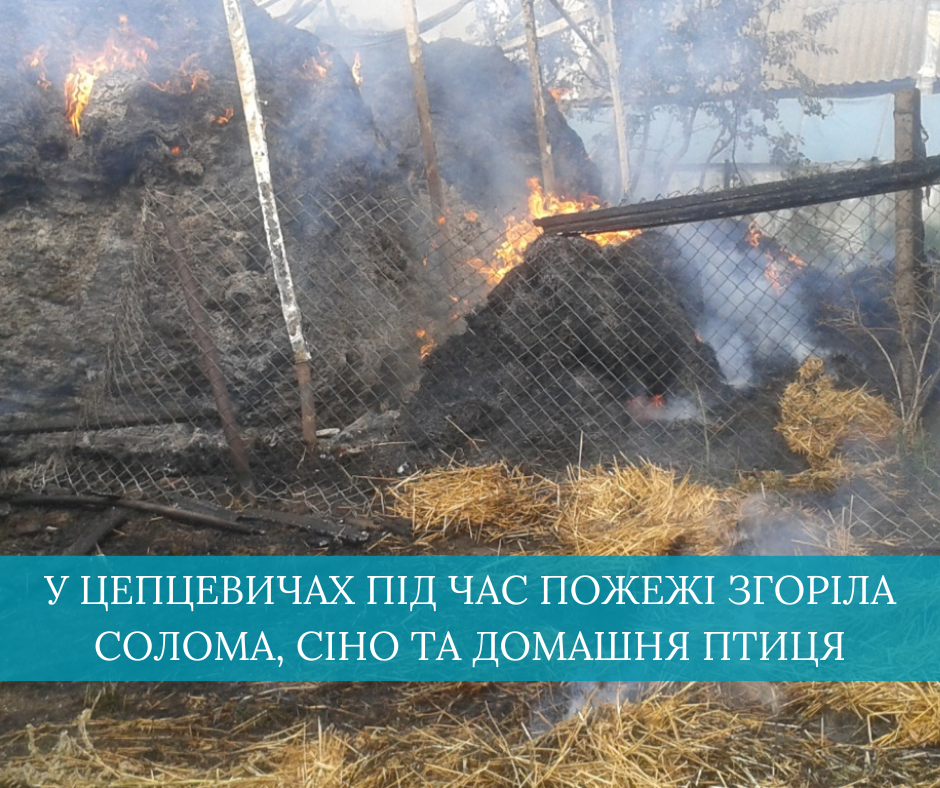 Фото ілюстративне