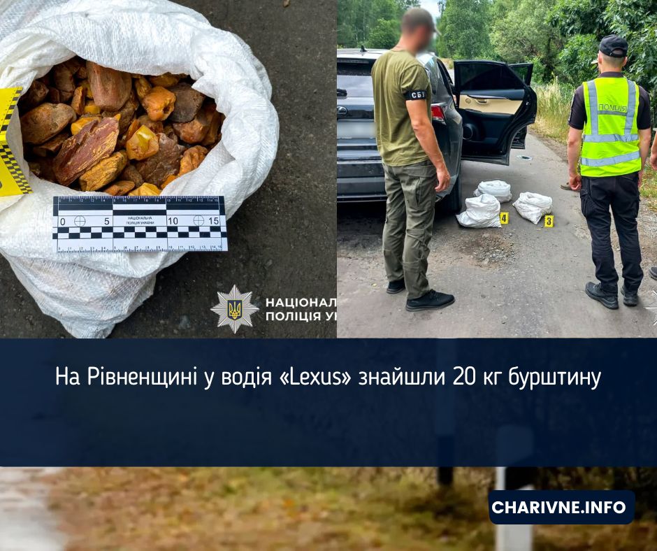 На Рівненщині у водія «Lexus» знайшли 20 кг бурштину