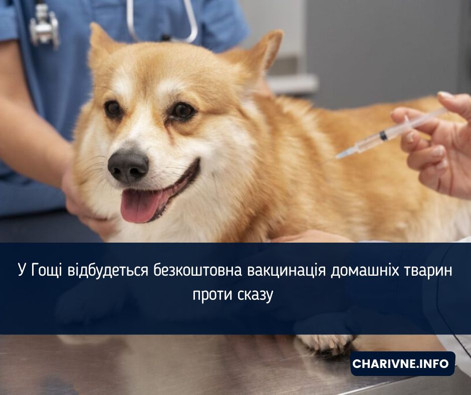У Гощі відбудеться безкоштовна вакцинація домашніх тварин проти сказу 