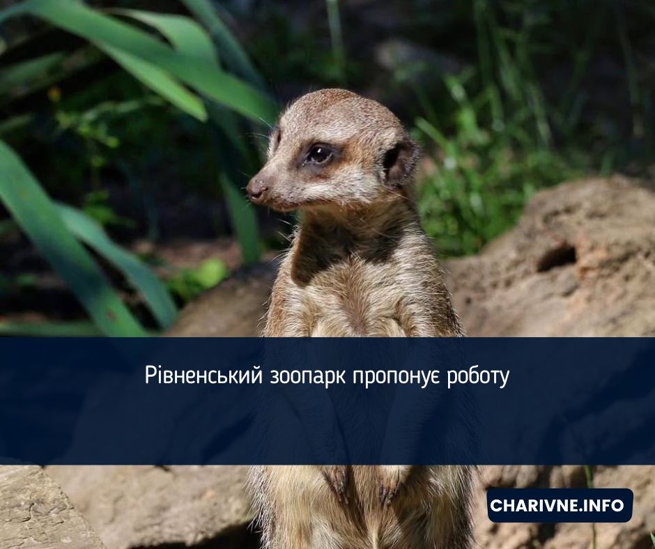 Рівненський зоопарк пропонує роботу