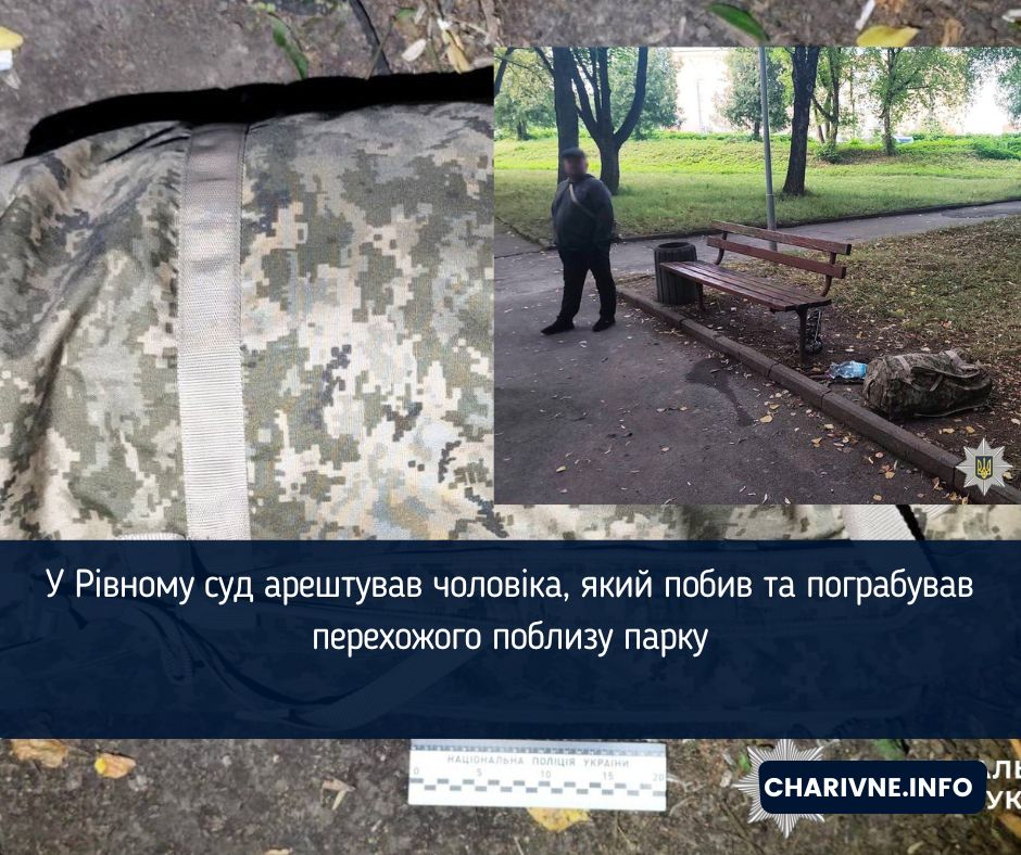 У Рівному суд арештував чоловіка, який побив та пограбував перехожого поблизу парку