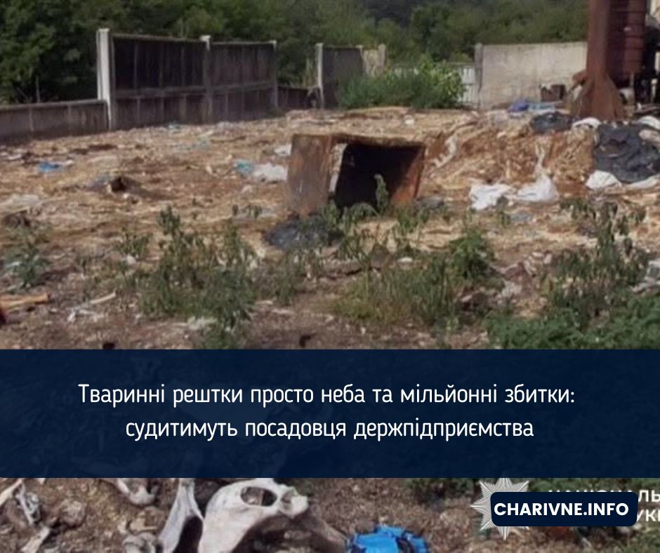 Тваринні рештки просто неба та мільйонні збитки: судитимуть посадовця держпідприємства