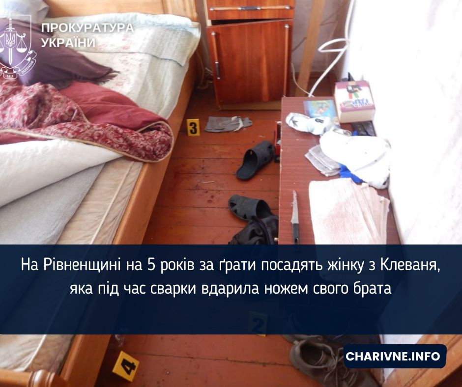 На Рівненщині на 5 років за ґрати посадять жінку з Клеваня, яка під час сварки вдарила ножем свого брата