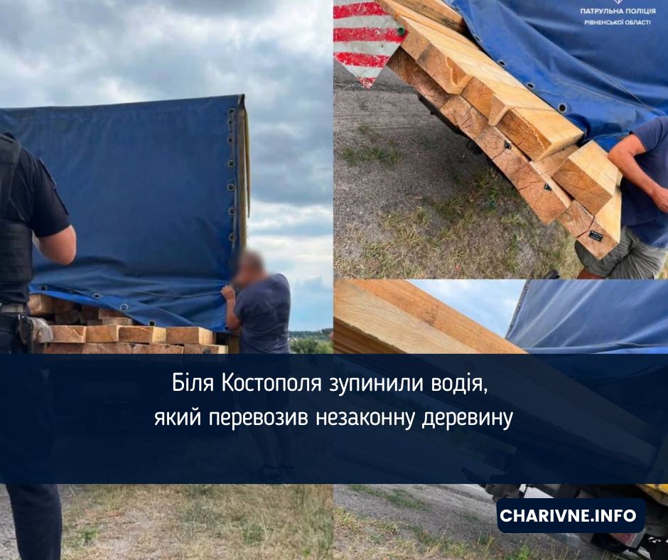 Біля Костополя зупинили водія, який перевозив незаконну деревину