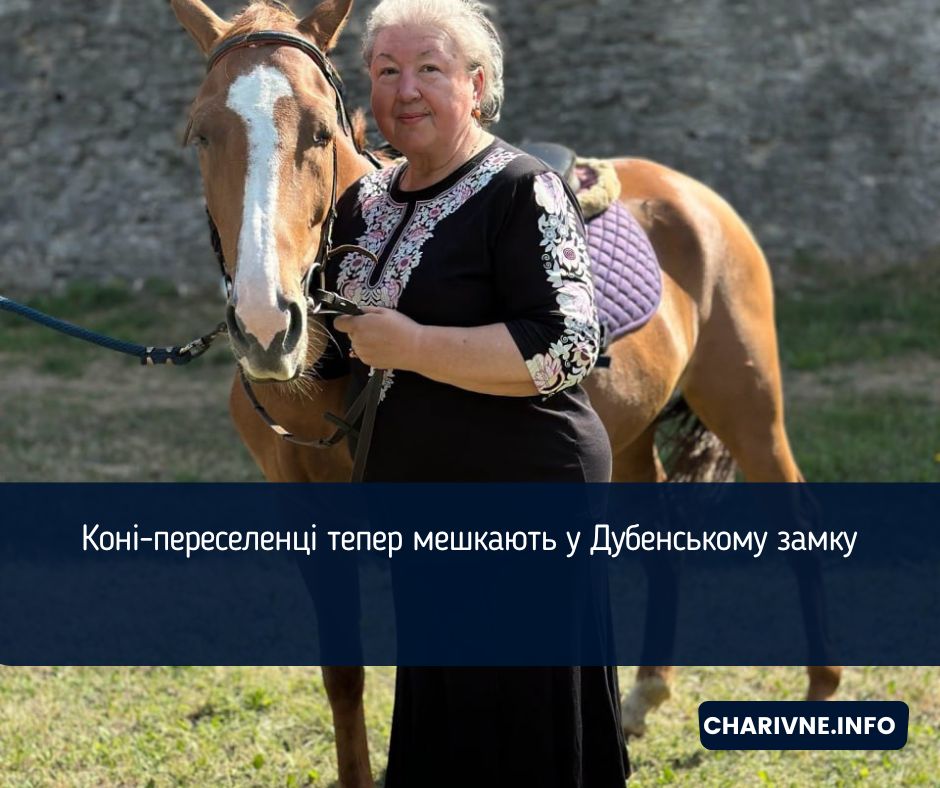 Коні-переселенці тепер мешкають у Дубенському замку
