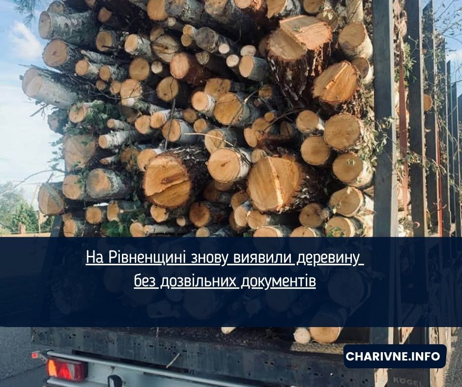 На Рівненщині знову виявили деревину без дозвільних документів