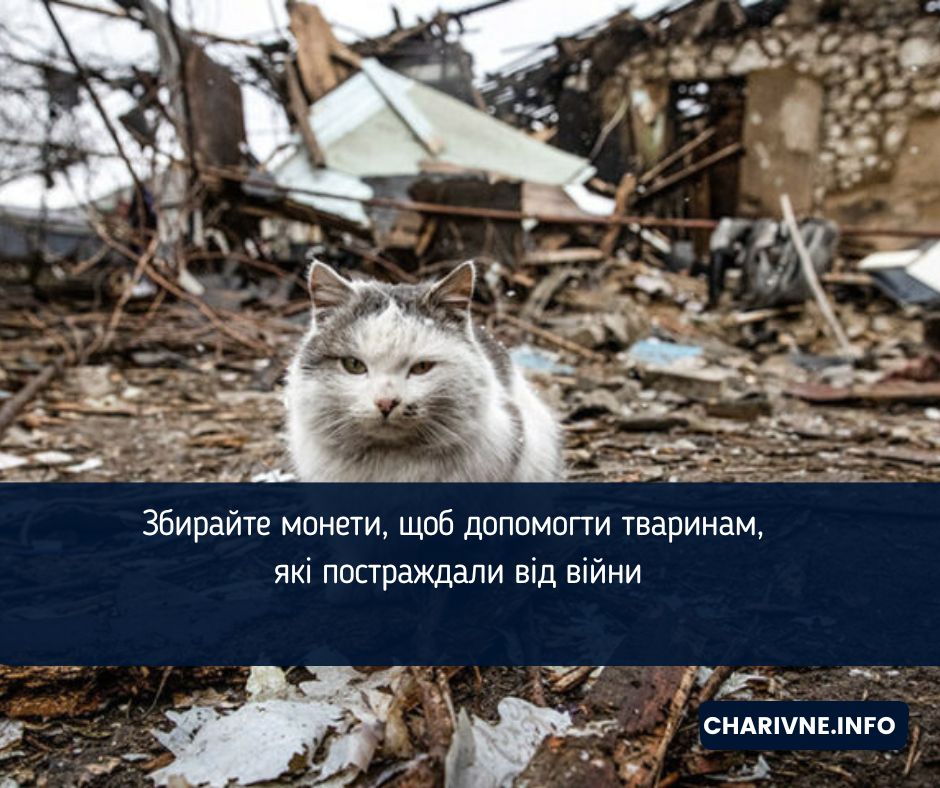 Збирайте монети, щоб допомогти тваринам, які постраждали від війни