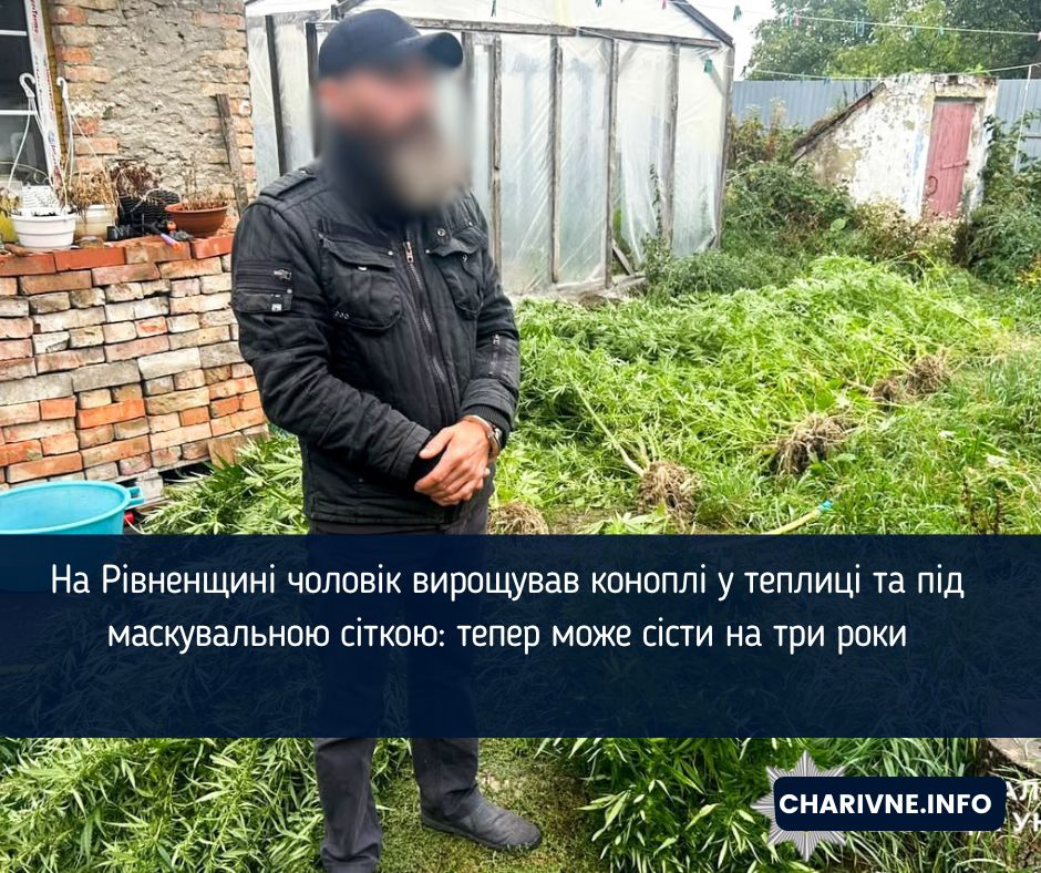 На Рівненщині чоловік вирощував коноплі у теплиці та під маскувальною сіткою: тепер може сісти на три роки